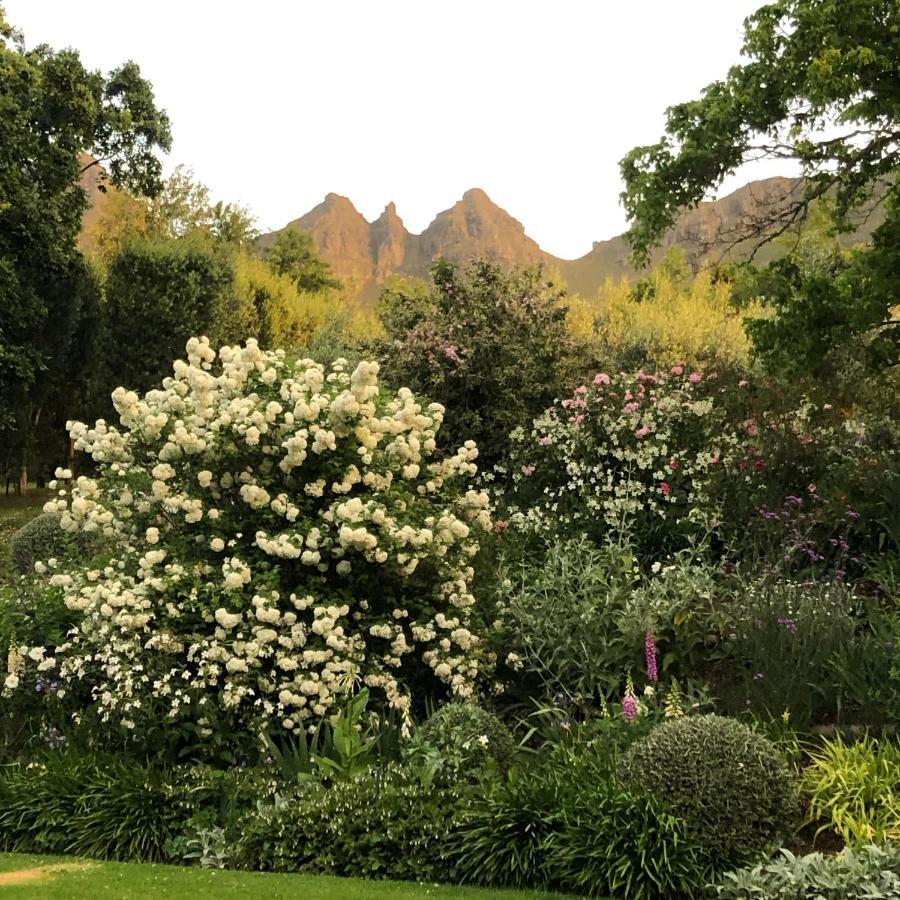 Villa Longfield House Stellenbosch Exterior foto